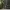 Parkent Avenue-2
