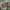 Sky Builds-1
