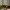 Status-2