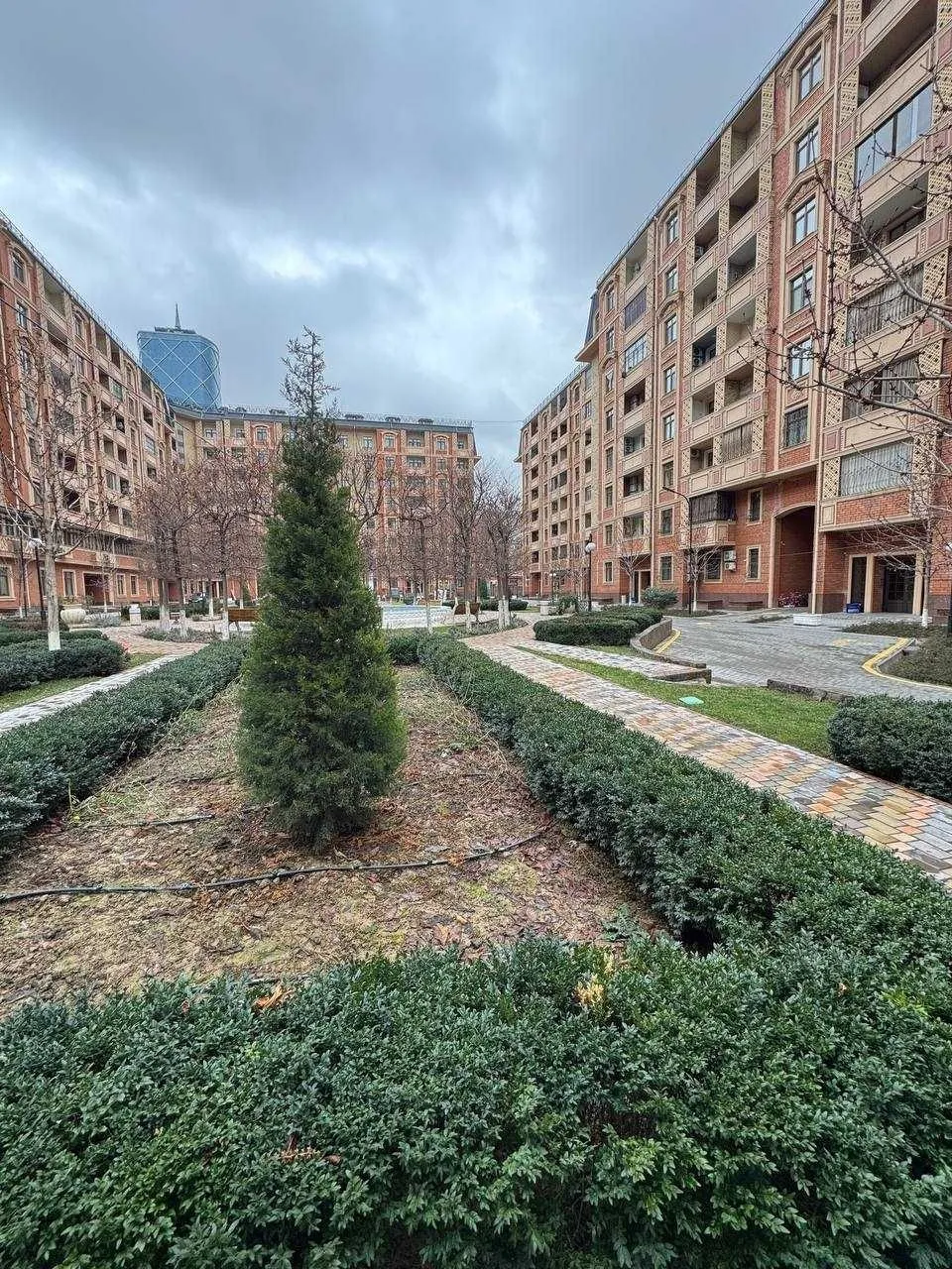 244 м², многокомнатная квартира, 8/9