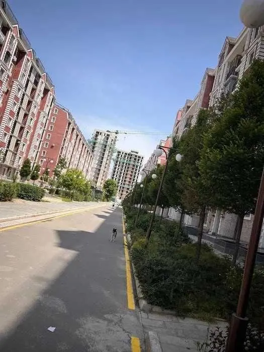 55 м², 2-комн. квартира, 2/9