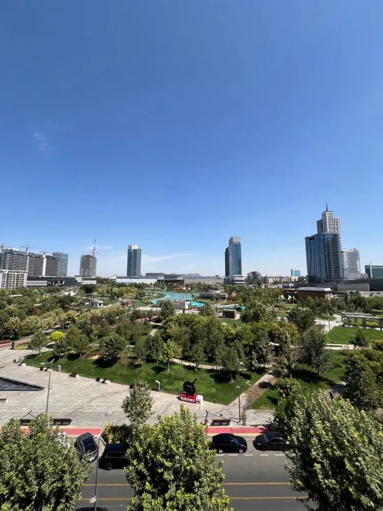 250 м², 5-комн. квартира, 8/9