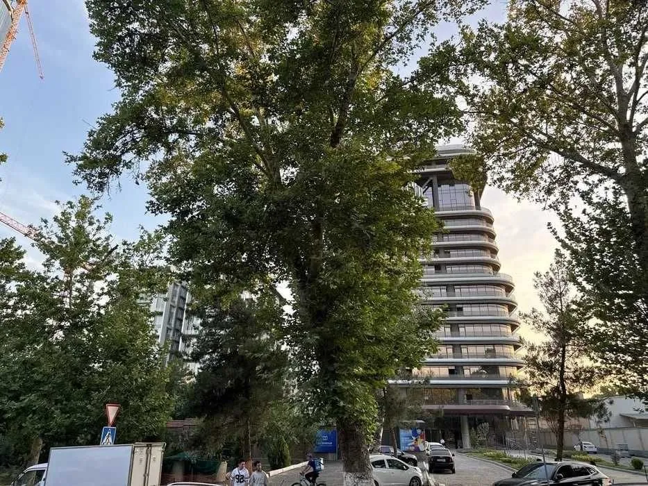 60 м², 2-комн. квартира, 10/14