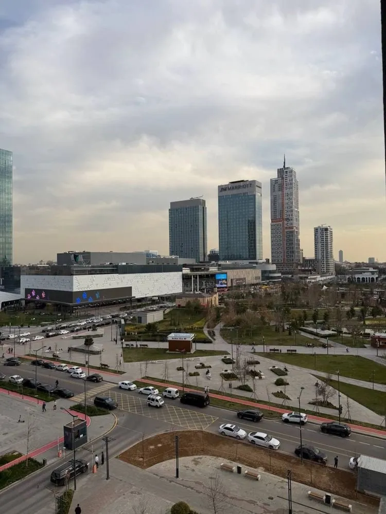 220 м², 5-комн. квартира, 8/9