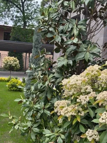 107 м², 3-комн. квартира, 2/9-2