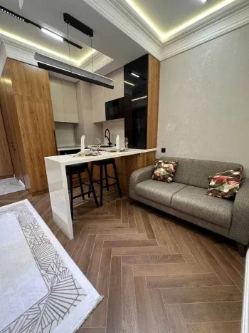 29 м², 1-комн. квартира, 7/25-3