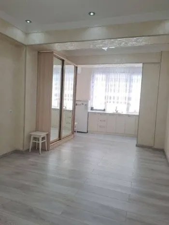 32 м², 1-комн. квартира, 10/11-3