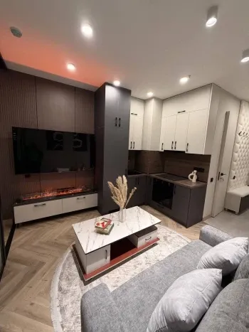 29 м², 1-комн. квартира, 14/25-3