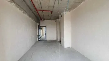 25 м², 1-комн. квартира, 10/24-2