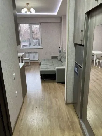 28 м², 1-комн. квартира, 2/9-0