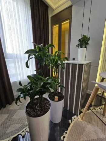 58 м², 2-комн. квартира, 2/12-3