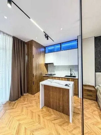 43 м², 1-комн. квартира, 3/13-2