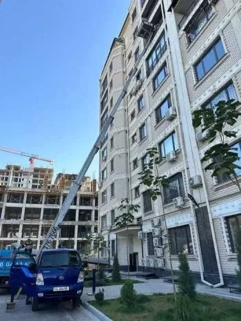 250 м², многокомнатная квартира, 9/10-0