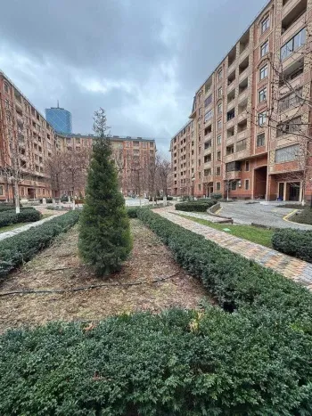 244 м², многокомнатная квартира, 8/9-0