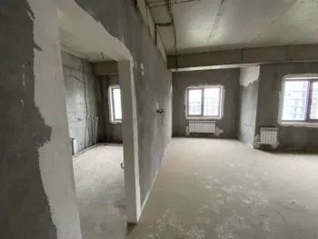 250 м², 5-комн. квартира, 8/9-1