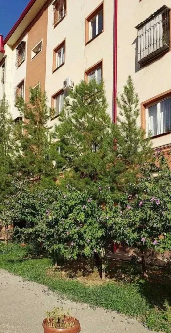 70 m², 3-xonali kvartira, 2/5-1