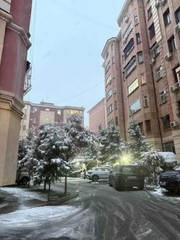 273 м², многокомнатная квартира, 7/8-0