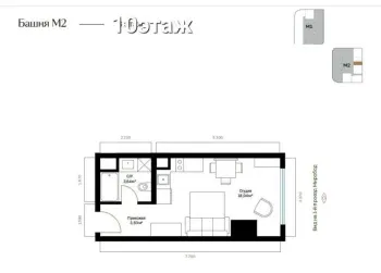 25 м², 1-комн. квартира, 10/24-3