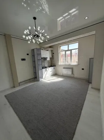 44 м², 1-комн. квартира, 7/8-0