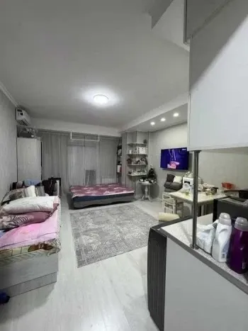 30 м², 1-комн. квартира, 7/9-1