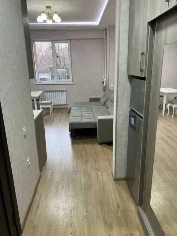 28 м², 1-комн. квартира, 2/9-1