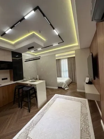 29 м², 1-комн. квартира, 7/25-1