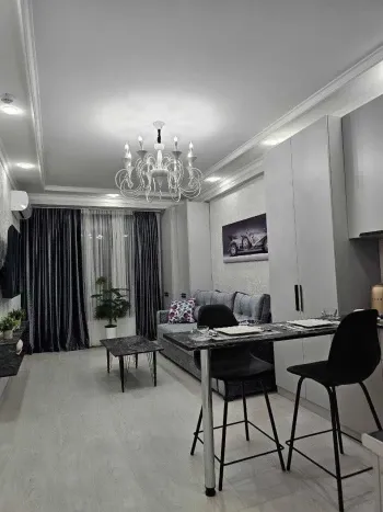 27 м², 1-комн. квартира, 11/17-0