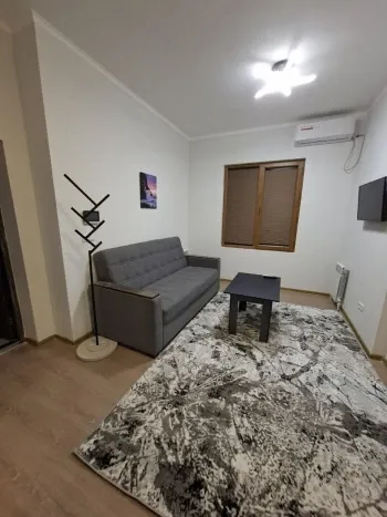 30 м², 1-комн. квартира, 11/13-2