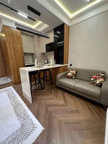 29 м², 1-комн. квартира, 7/25-0