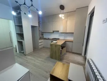 55 м², 1-комн. квартира, 1/16-2