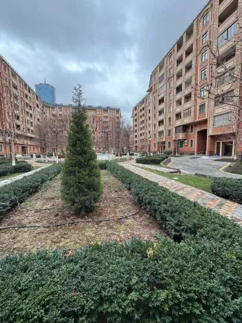 244 м², многокомнатная квартира, 8/8-2