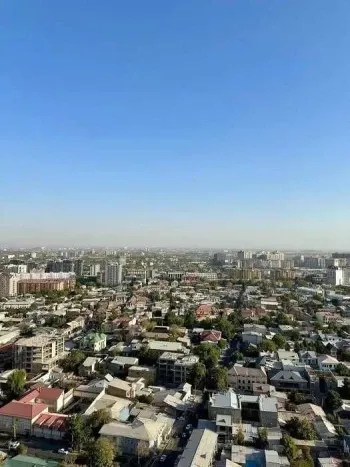 25 m², 1-xonali kvartira, 10/25-2