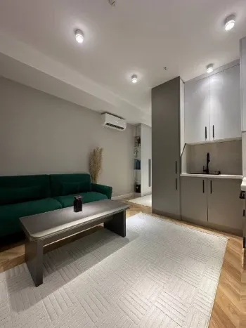 24 м², 1-комн. квартира, 8/25-2